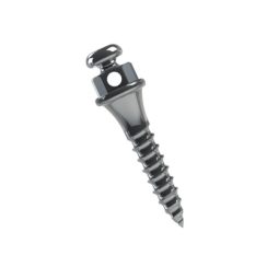 Miniparafuso Ortodôntico (Compr.: 6mm Transm.: 2mm Ø1.5mm)