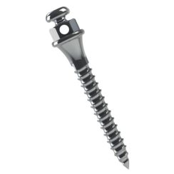 Miniparafuso Ortodôntico (Compr.: 10mm Transm.: 2mm Ø1.5mm)