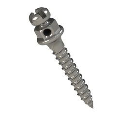 Miniparafuso Ortodôntico Cabeça de Bráquete Horário (Compr.: 8mm Transm.: 1mm Ø1.5mm)