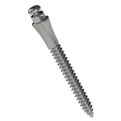 Miniparafuso Ortodôntico Extrarradicular de Aço (Compr.: 14mm Transm.: 4mm Ø2mm)